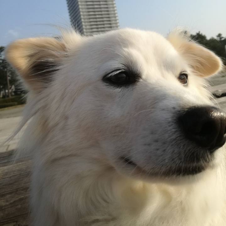 416877fd 80b9 4d57 8c6e eeeb0d0c07b7 1522119781312