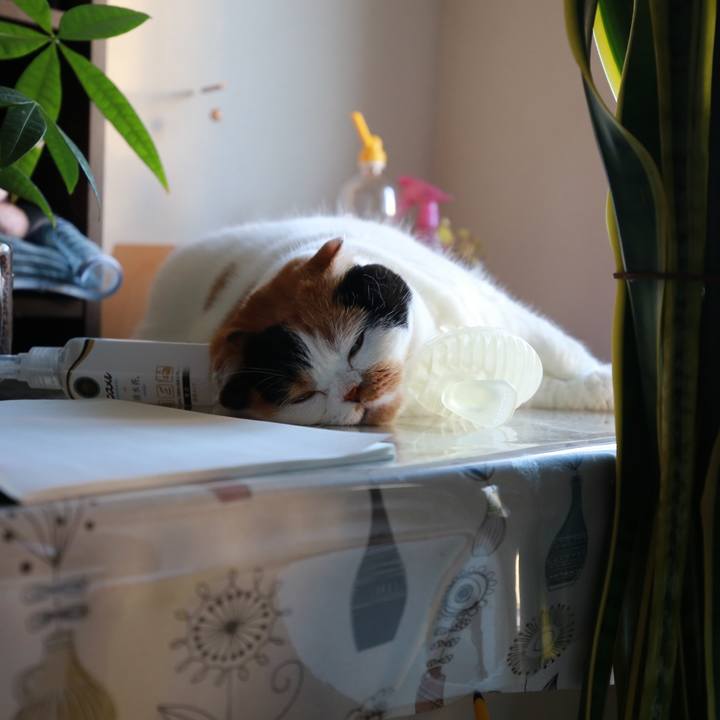 4168bb2e 6c2b 4513 84c7 487f520aa23c 1568385904161