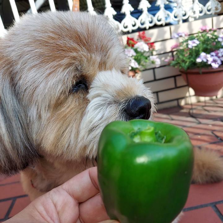 4168e3ea 2caa 45ea 8122 a183db6bd004 1622503272585