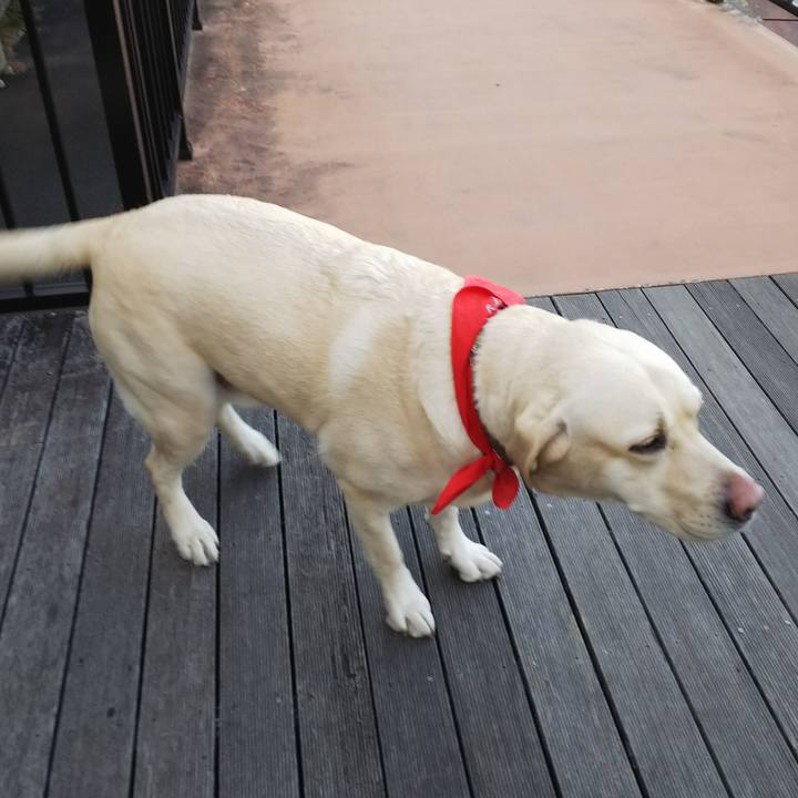 41691b87 8e72 4f68 9094 011cbbe85e5d 1582290345292