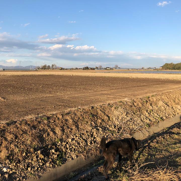 4169425a 97c7 4ae1 8c75 f89fbee62976 1552463874941