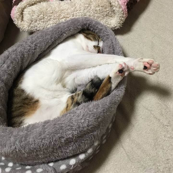 416950ec cf69 4222 8660 e4c32c826a17 1547029205601