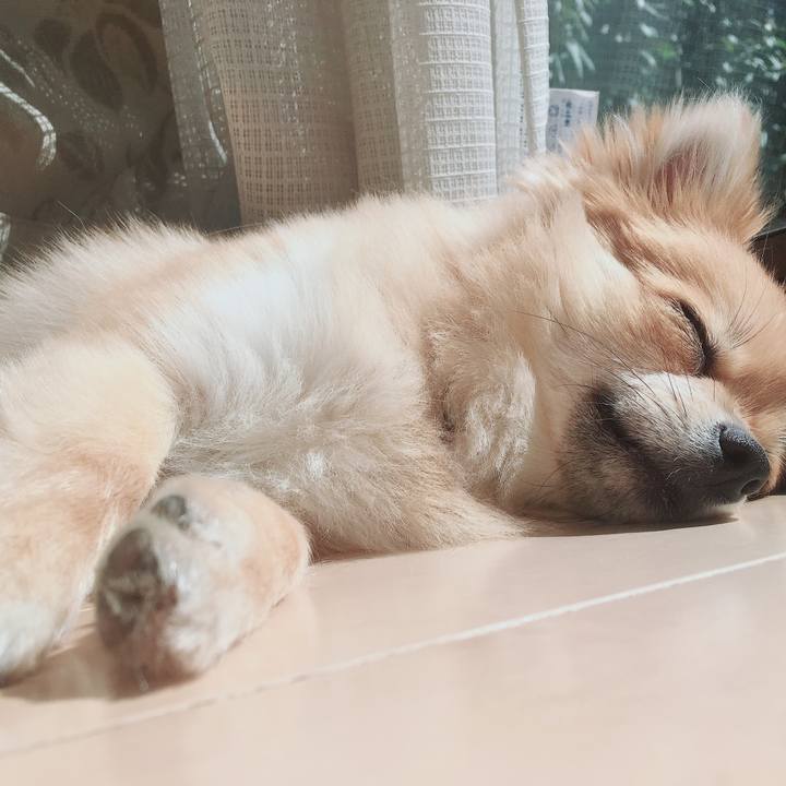 41695c1b 8257 465f 888b 8314690e1b15 1520428650194