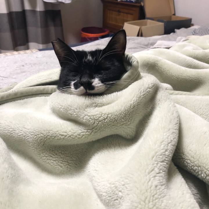 41697ed1 2ca1 4c1d 8081 08fc2fe75de0 1542037298709