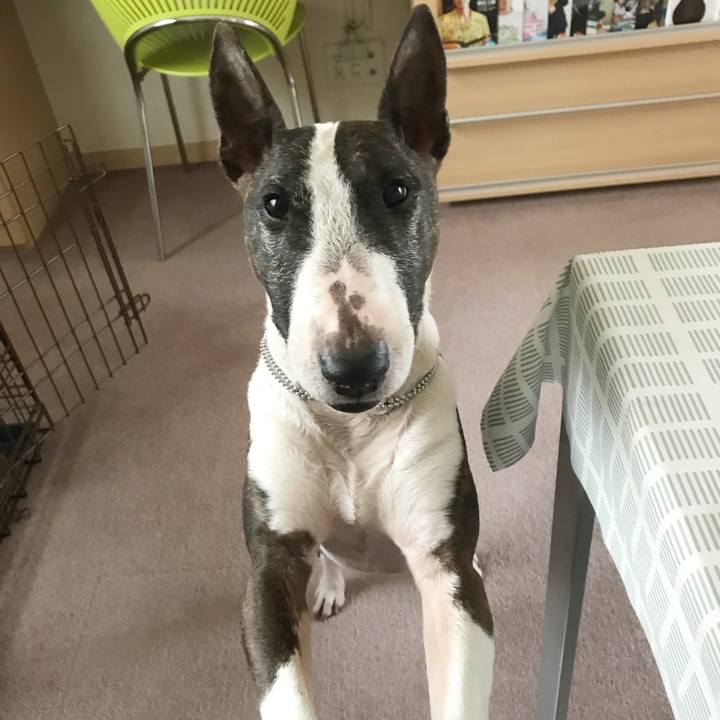 41699fbe 0803 46df 8021 42cfb22d9829 1523429373364