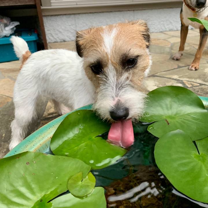 4169b865 c44b 45ba 8db9 8b91bd196325 1600772639883