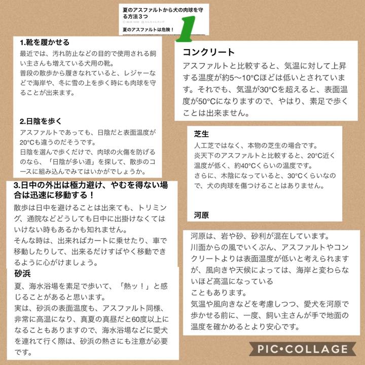 4169c80a 3dd2 49e7 aaa9 35388b2377c4 1533475711451