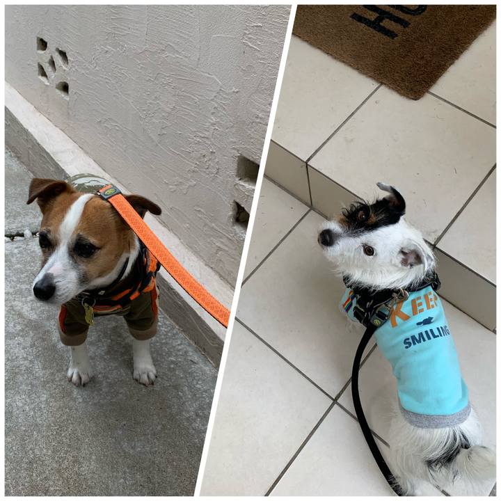 4169c85f 1cbe 47db 818e 92f3b4752a30 1583374480072