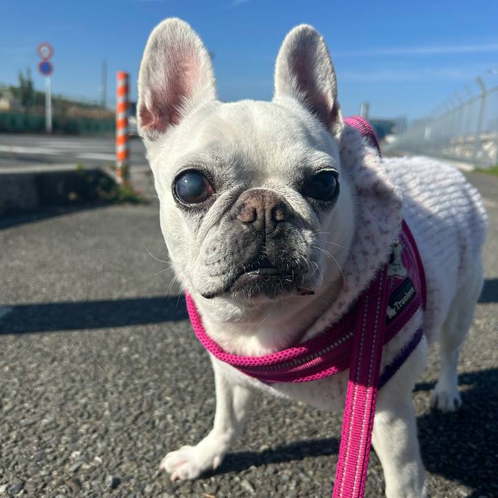 4169caa5 f44d 4e9f aeb5 a48efd2a45ac 1733486558872