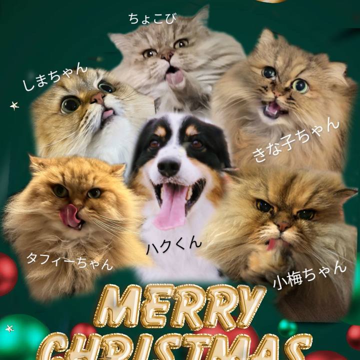 4169e05e 9c67 4432 bec4 8d084c60527d 1671635131972