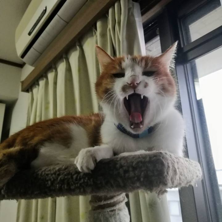 416a02c6 fd20 4c07 a3e0 c80c2458556e 1606429674718