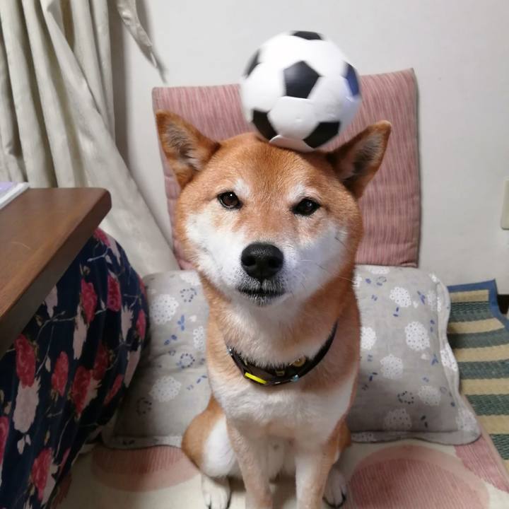 416a0492 c0ae 4d43 87af 3775e052983f 1619516402223