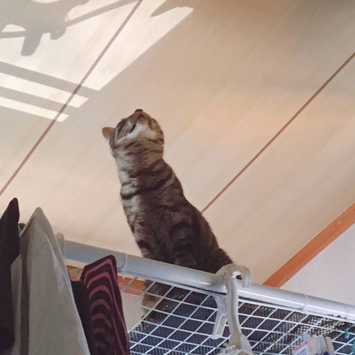 416a2dfc 8280 4487 8059 da119fb5199f 1559520881051