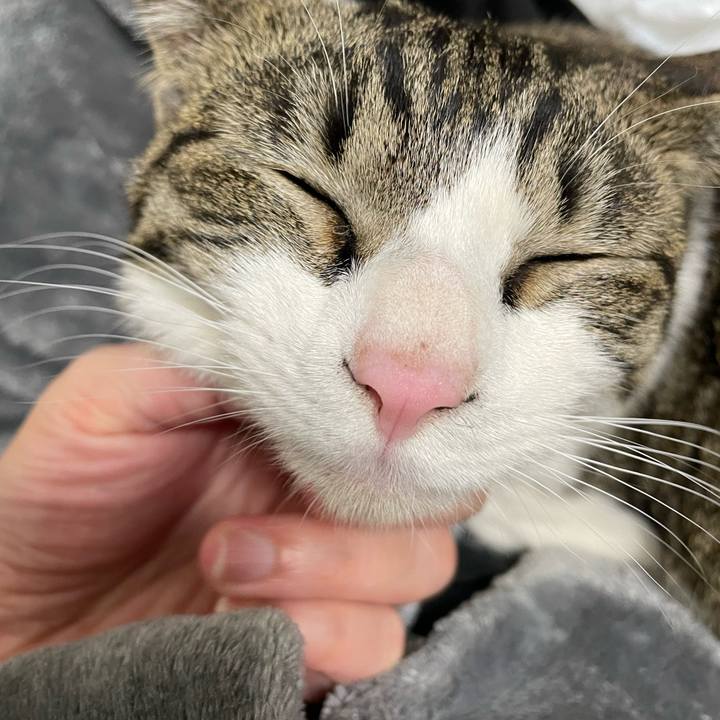 416a5385 2695 40af 92cc dc7afce63e5e 1740569338364