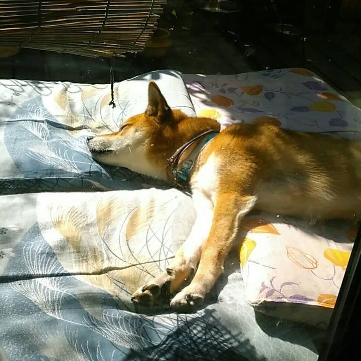 416a685d 65c2 446e a28c 57012ef9c0aa 1540431588484