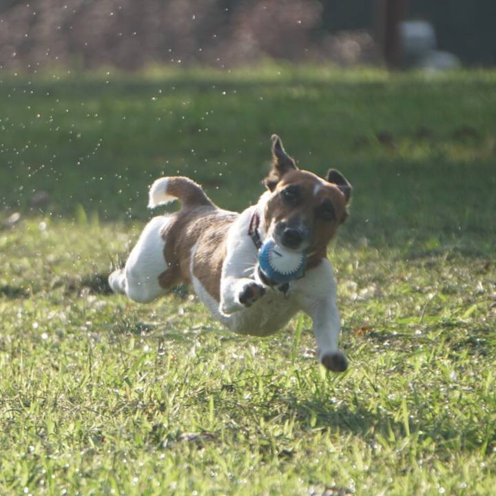 416a6c74 9e1a 4a06 bd91 ed0748403ef0 1536792700475