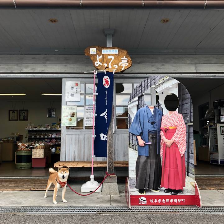 416a9d4e 759c 486c 8372 ac78eb521a38 1560513394042