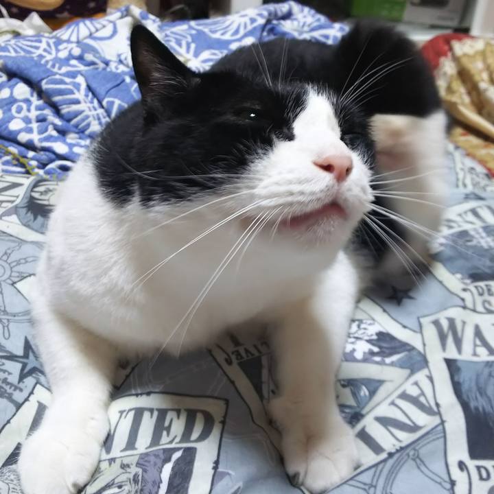 416aa256 93fc 4717 8fde 0afa52f41bf3 1566300107113