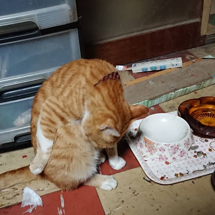 416ac45b 0a14 44e8 9a67 fcb0f6e310f4 1566936209441