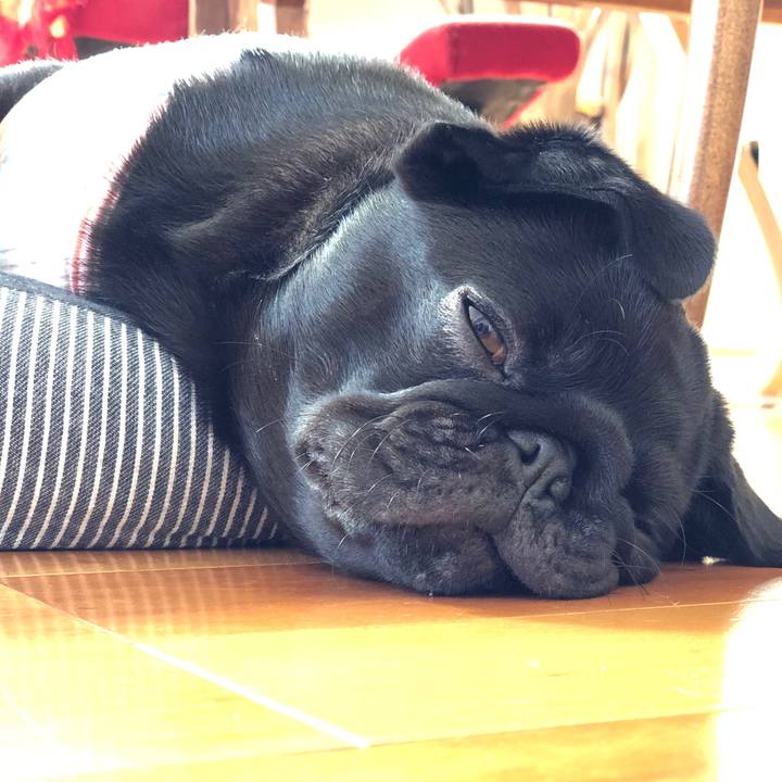 416ad0b3 5aa5 4e50 8010 2e87e0972431 1603941222211