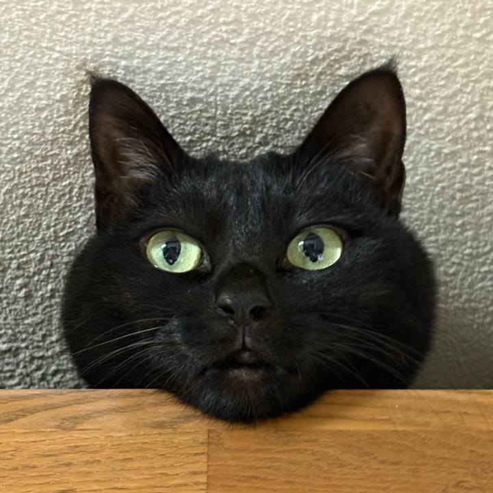 416adc25 4627 45e2 982c 0bb0596426ca 1768652193509