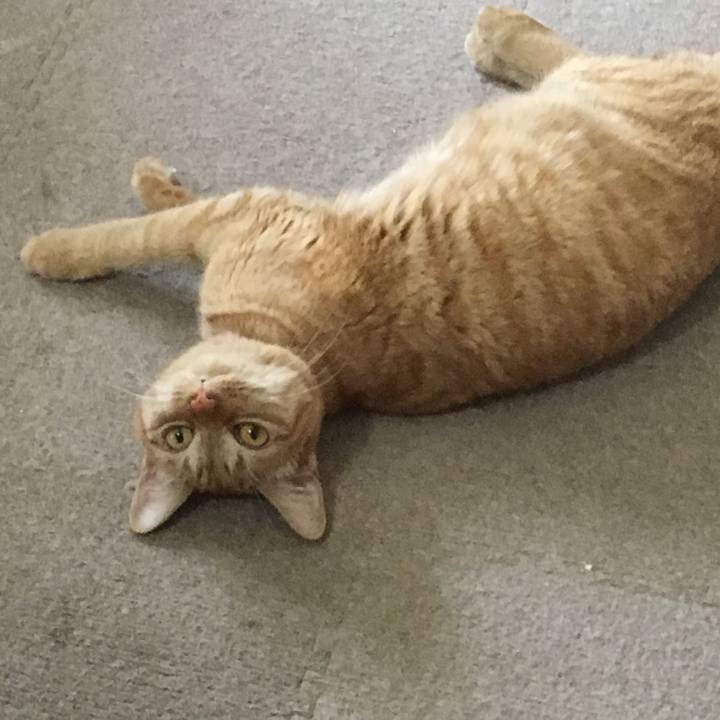 416add13 d5c8 49b5 a8f1 e11512900919 1635504905745