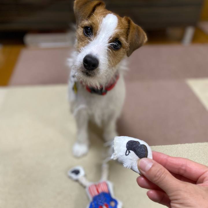 416b378c 6eca 4196 8487 bcf4364565f6 1655123032254