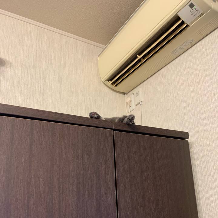 416b572d 1b25 4da0 9f5c 3811b499499a 1643407676546