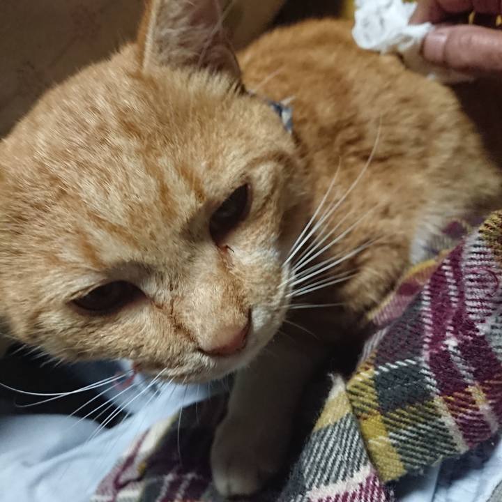 416b5bae 1348 4e17 8f8f c2d4989a09b3 1573506110171