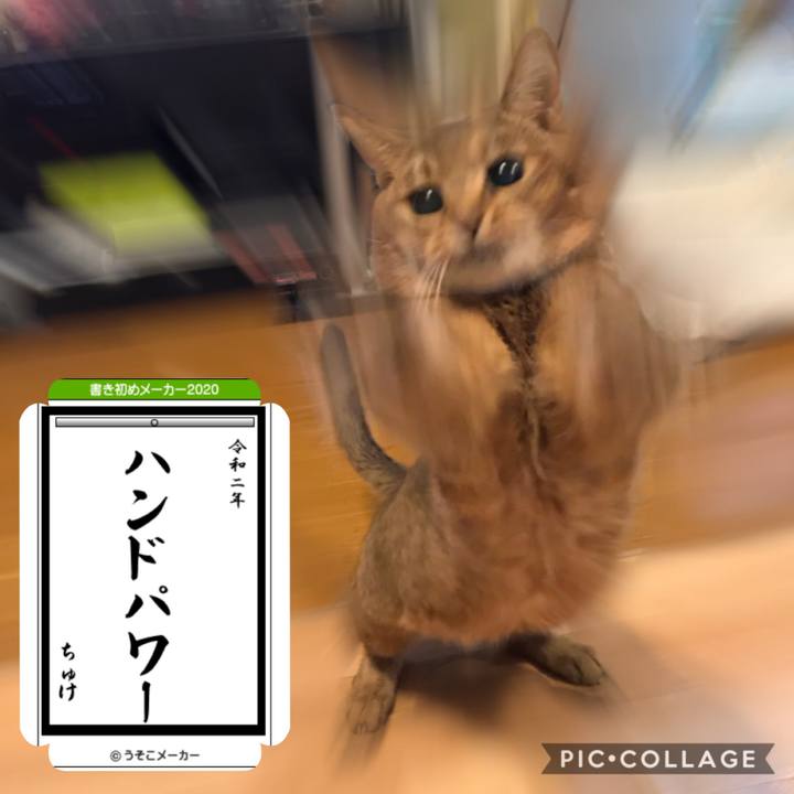 416b81df 786d 4b05 bde1 0fad9f641257 1578152517550