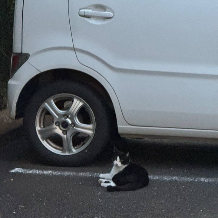 416ba5ac 383c 4c3b 99e3 53ff8ccbbff3 1756763440330