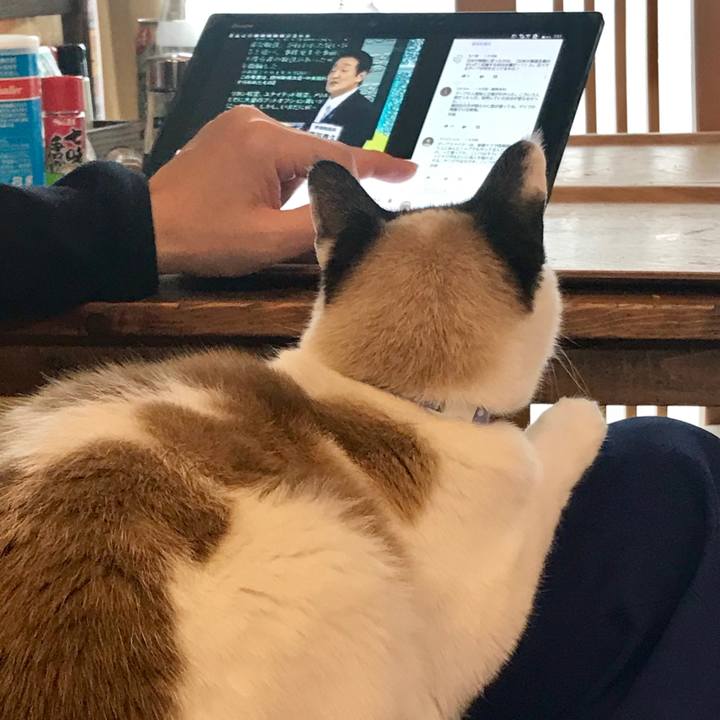 416ba954 1322 463a 8c5c 0cfce1e70ef3 1552694959157