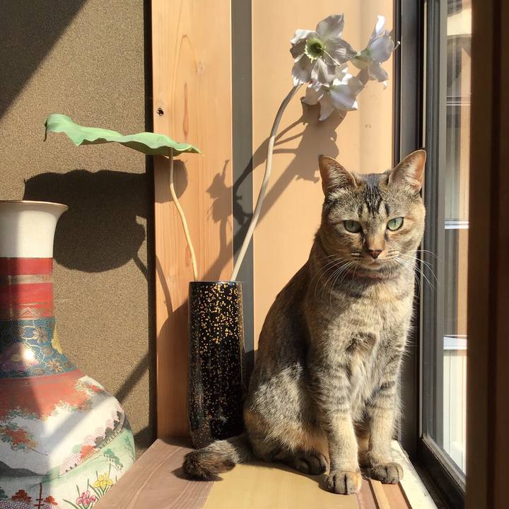 416bb1f3 b232 4ea7 a294 d050757d2d7c 1615260036084