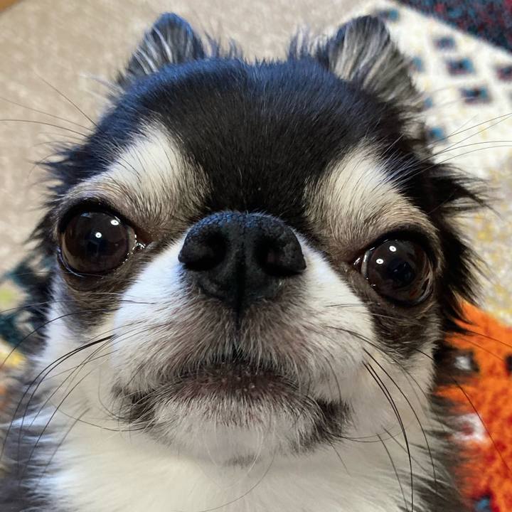 416bde7d e34f 450f b52c 732c82125bb4 1697928130794