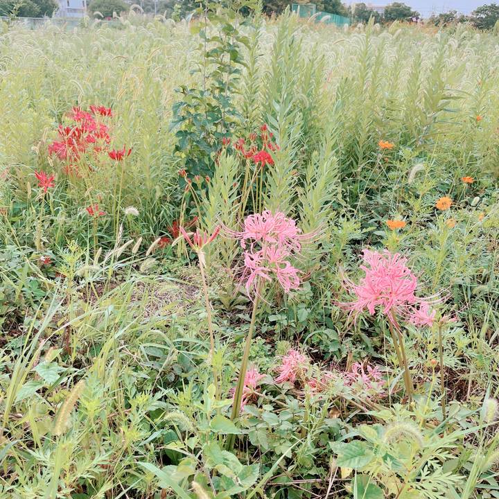 416bdf20 38f1 45b2 97f7 eead6fdaf45c 1663643420203