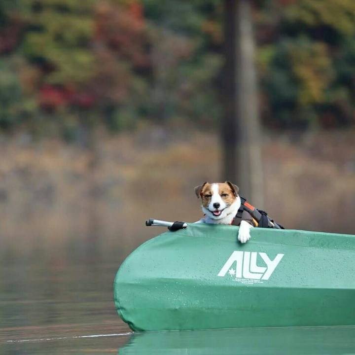 416be12c 9321 49d5 b259 6ef8aa6b787a 1511842763171