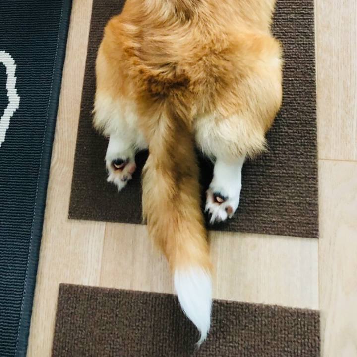 416bf68e d5d7 43e4 98aa bacba365b89e 1563335164663