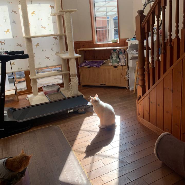 416c0c0f aa45 4c81 b095 727609ee8e82 1642825727432