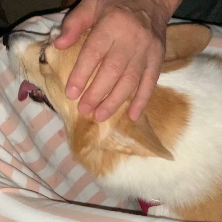 416c5ab7 ac62 4f49 a461 0b082f1a7015 1694512863834