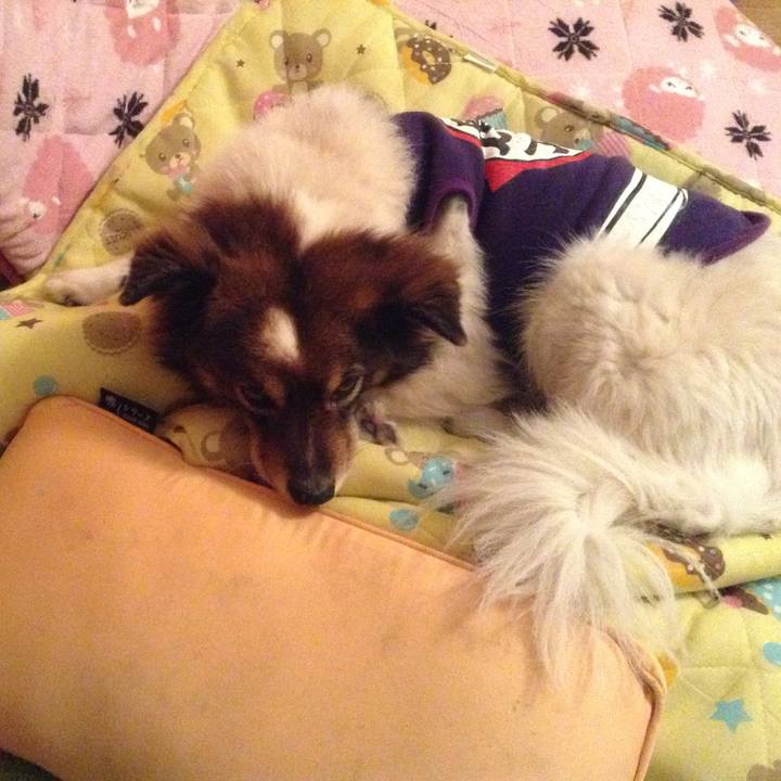 416c6d3f 9168 4ee4 9d57 770d1b8ce484 1517830125930