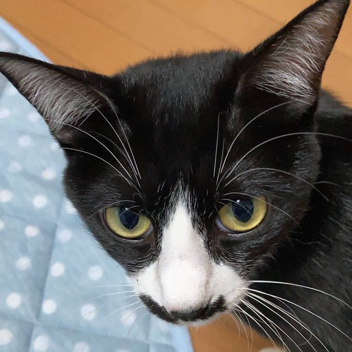 416ca48f 55b4 4f69 ade7 10987b2f8bde 1691070413365