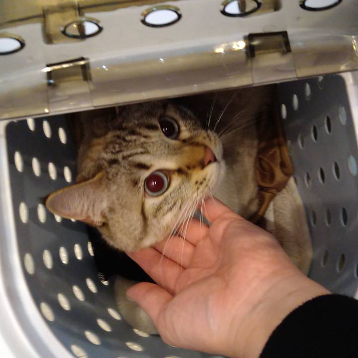 416cb2e0 052b 4bd6 8892 8572813e0164 1621672855704