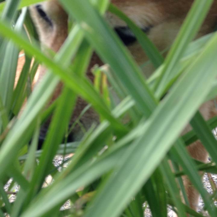 416d0689 9122 4e95 9e20 09e39f18447a 1540014483008