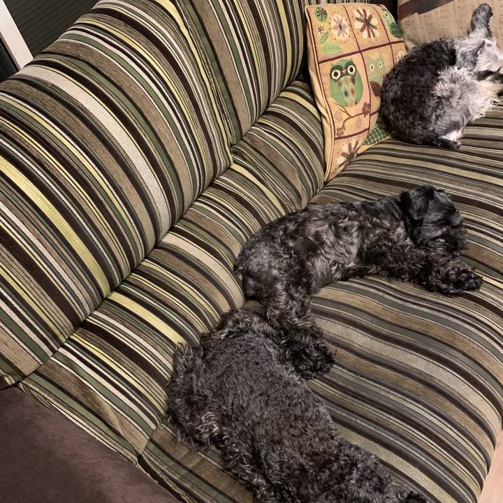 416d1de8 efce 471b b01e f92d8ce2b14e 1594092477054