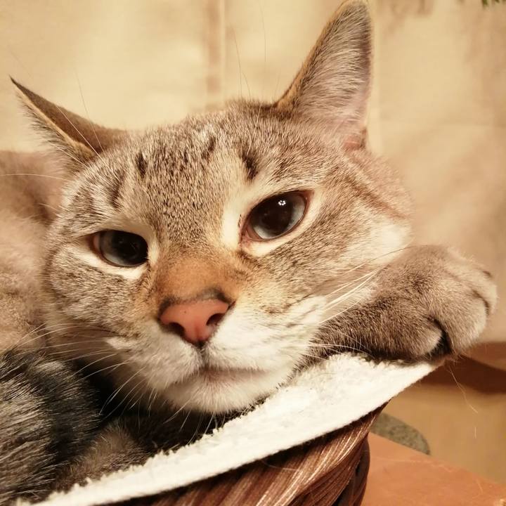 416d283d d642 4a93 89a9 cf8b09056926 1768390214872