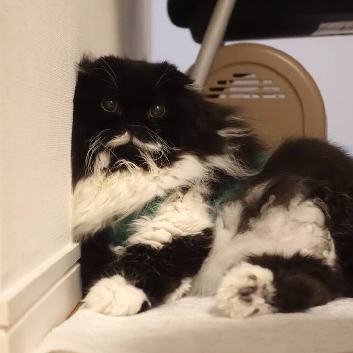 416d8ca2 64df 4a0e a564 8bb2f889fe69 1556716004820