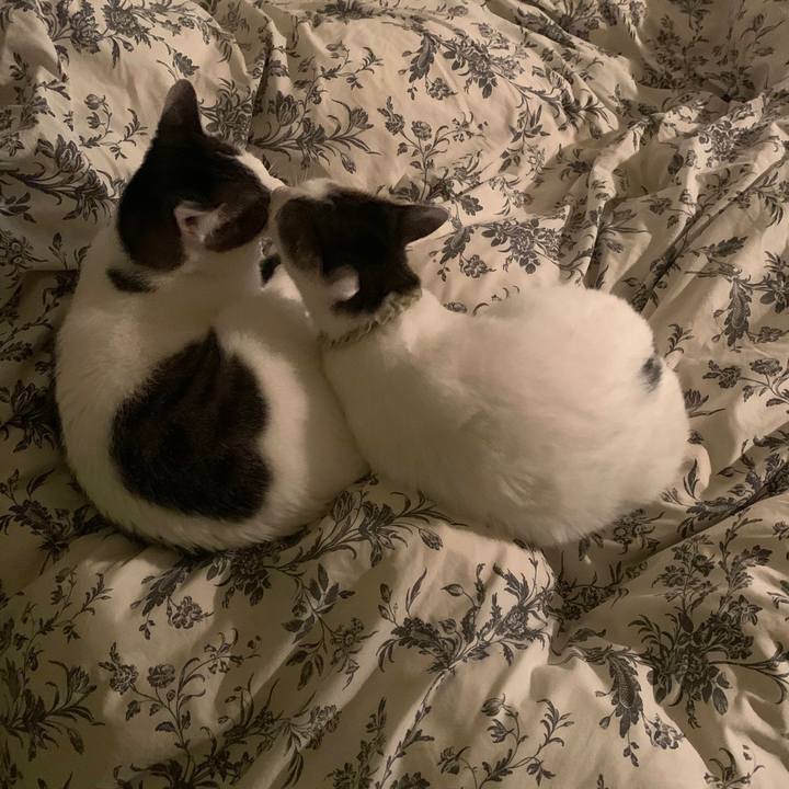 416d977b 06a6 403d 9112 b114e8fd53ec 1614412177528