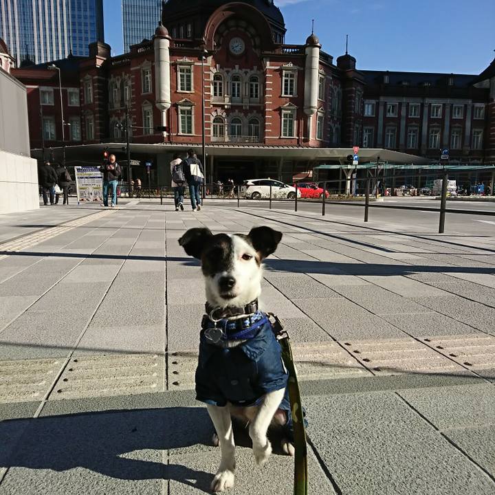 416da564 0075 4193 82b8 a3eee3545eae 1511586086188