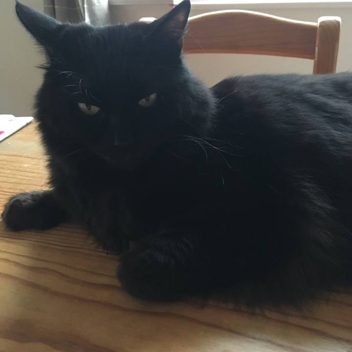 416db65d 6c9b 4dc5 b6de 28ba8b4012dd 1534767773651