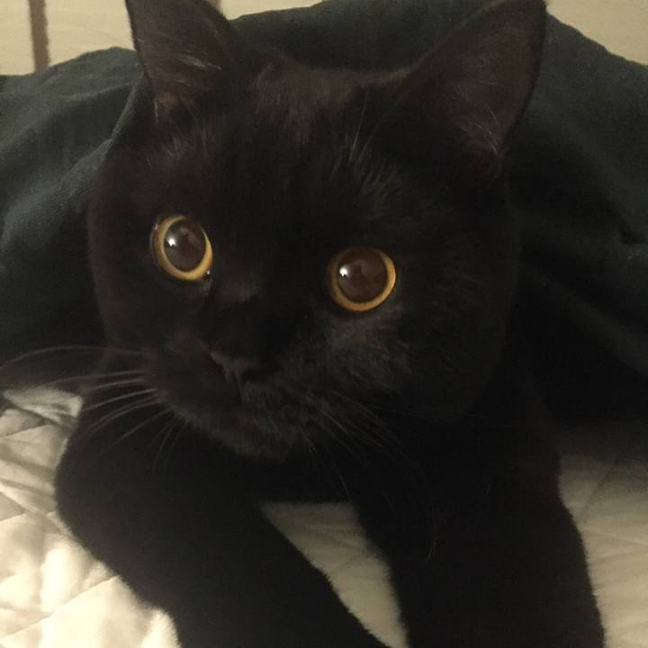 416db792 0eb3 463f b60e 576556eedde2 1508328940639